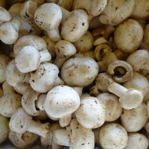 White Mushrooms