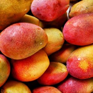 Mangoes