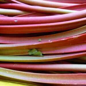 Rhubarb