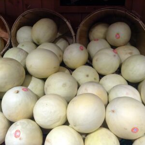 Honeydew