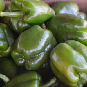 Green Bell Peppers