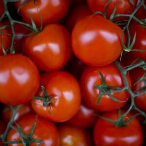 Vine Tomatoes