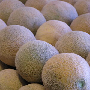 Cantaloupe