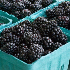 Blackberries