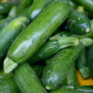 Zucchini
