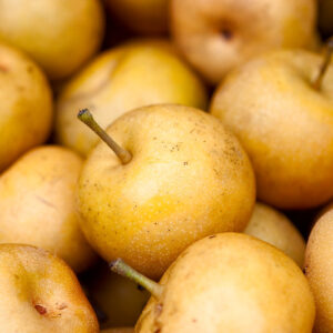 Asian Pears