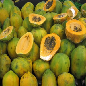 Papaya
