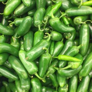 Jalapeno Peppers