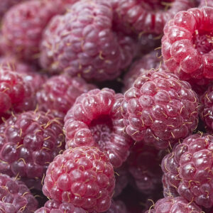 Raspberries