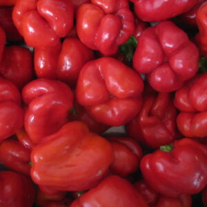 Red Bell Peppers