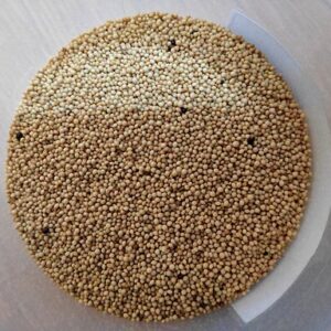 Amaranth