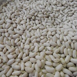 Cannellini Beans