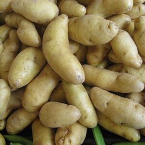 Fingerling Potatoes