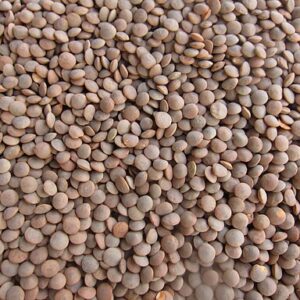 "Green Lentil - പരിപ്പ്" by Shijan Kaakkara is licensed under CC BY-SA 4.0.