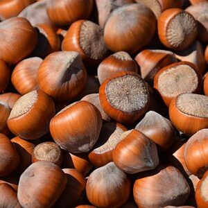 Hazelnuts