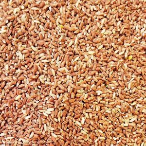 Red Rice