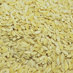 Orzo