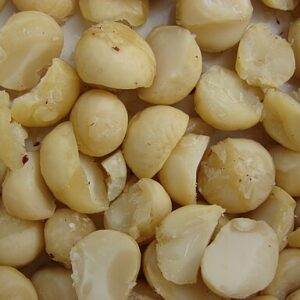 Macadamia Nuts