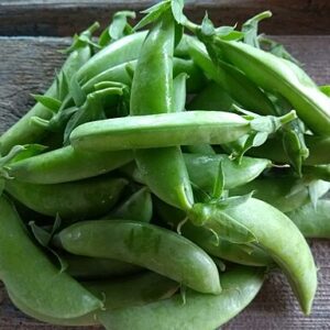 Snap Peas