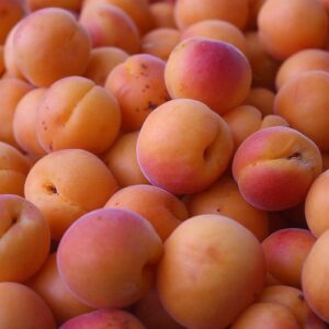 Apricots