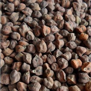 Kala Chana (Black Chickpeas)