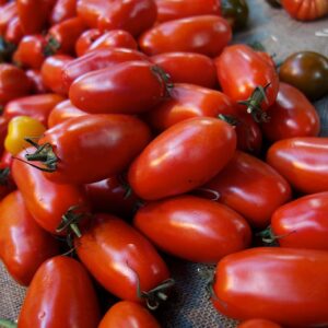Roma Tomatoes
