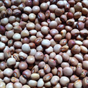 Toor Dal (Pigeon Peas)