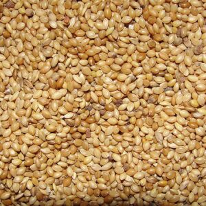 Millet