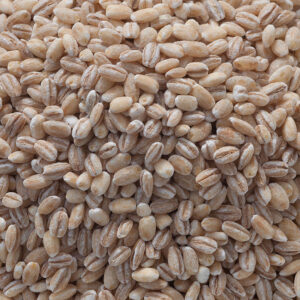 Pearled Barley