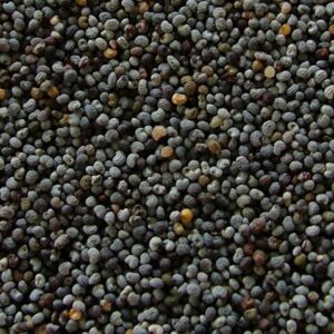Poppy Seeds