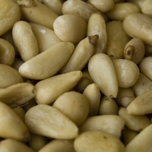 Pine Nuts