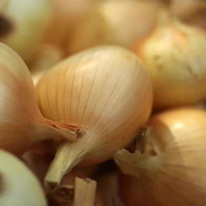 Yellow Onions