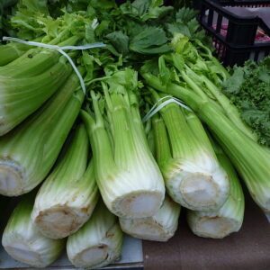 Celery