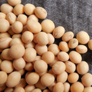 Soybeans